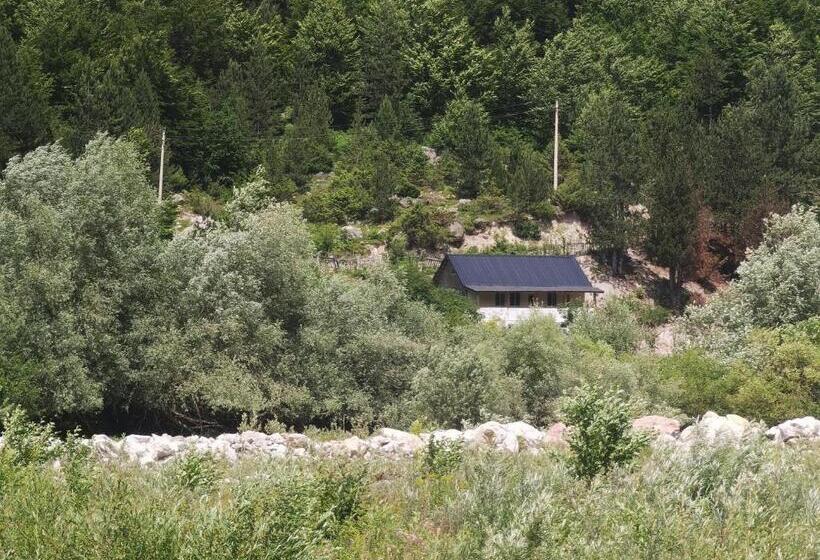 ペンション Guest House Artani