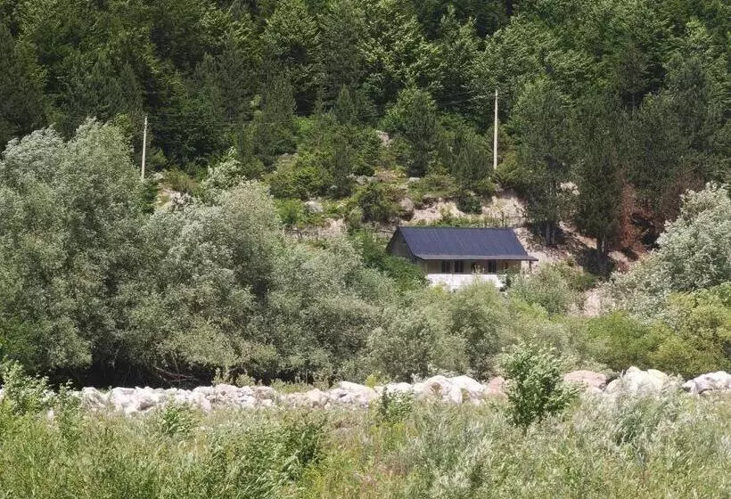پانسیون Guest House Artani
