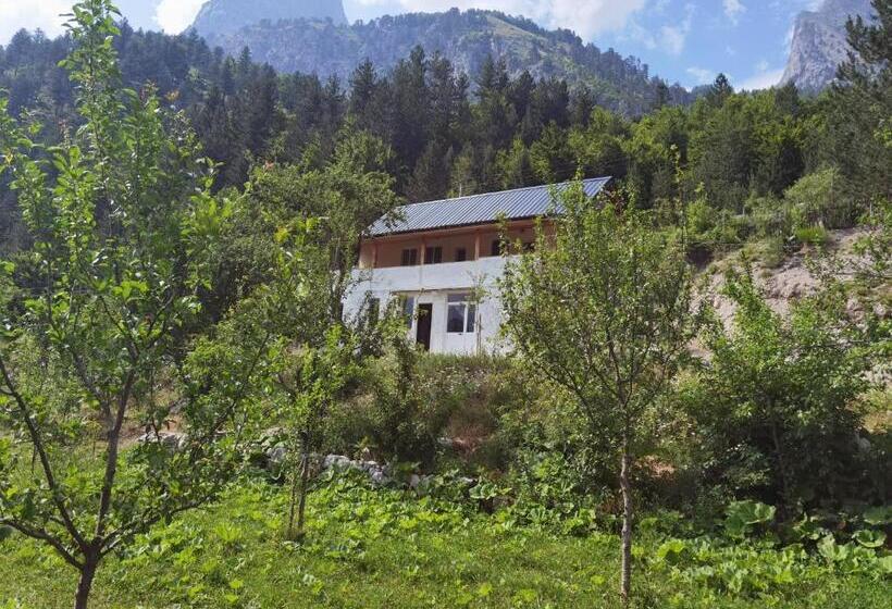 ペンション Guest House Artani