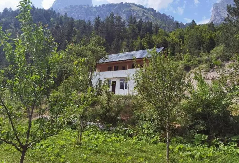پانسیون Guest House Artani