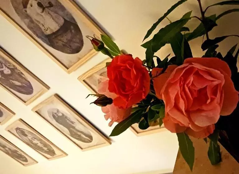 Majatalo La Casa D Atras