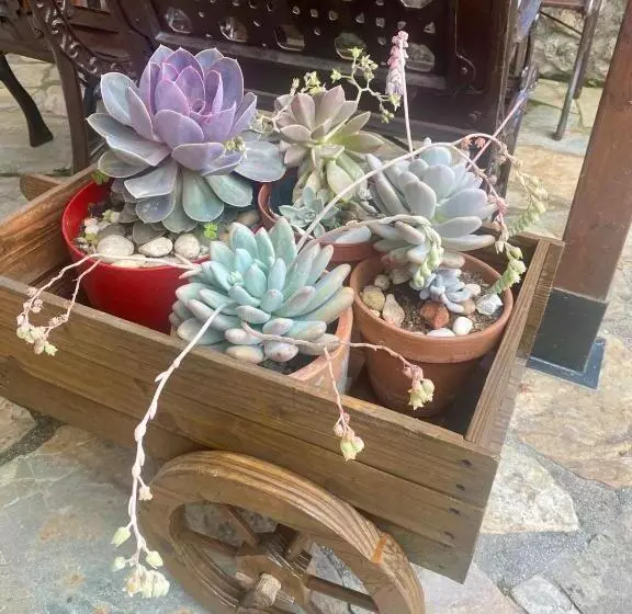 ユースホステル Posada Rural La Peña Casares