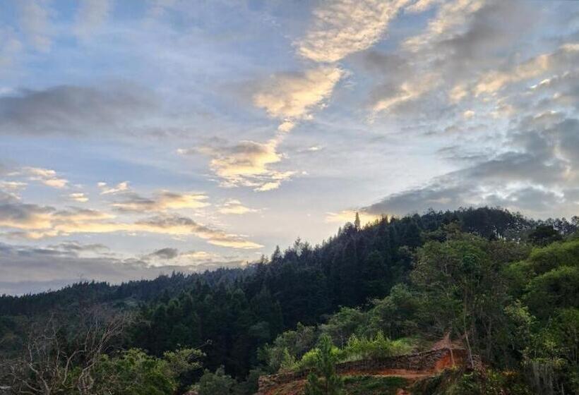 هتل Casa Luma Hostel