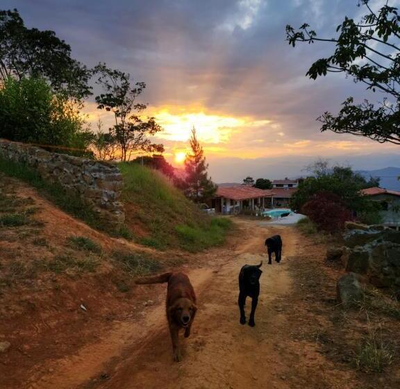 هتل Casa Luma Hostel