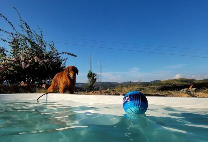 هتل Casa Luma Hostel