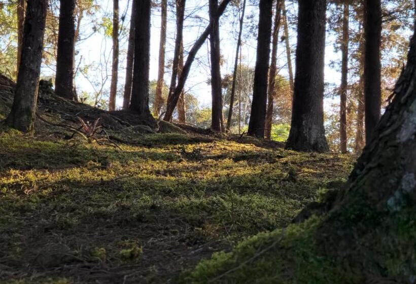 هتل Casa Luma Hostel