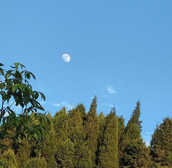 هتل Casa Luma Hostel