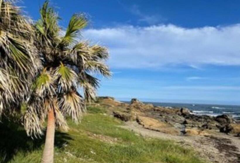 Пансион Megumistay   Vacation Stay 15662v