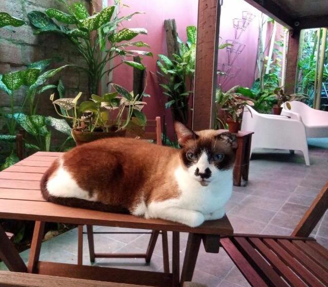 پانسیون Cas Amazonia Brasil