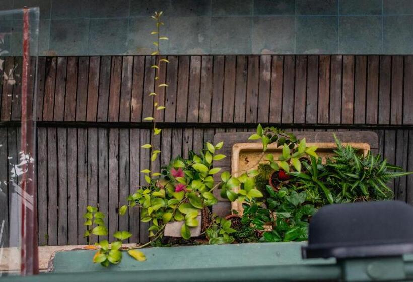 پانسیون Cas Amazonia Brasil