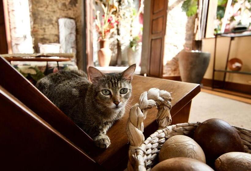 پانسیون Cas Amazonia Brasil