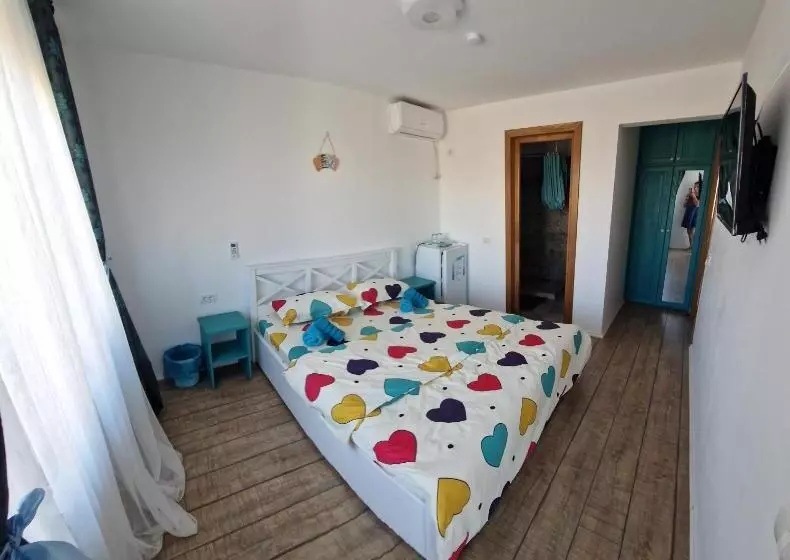 Pensió Casa țache