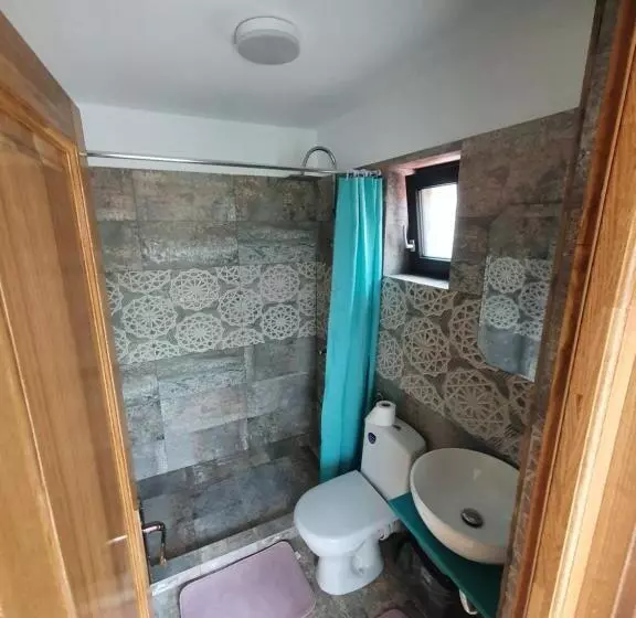 Pensió Casa țache