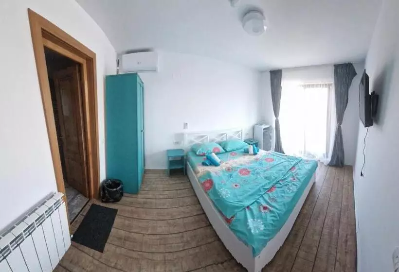 Pensió Casa țache