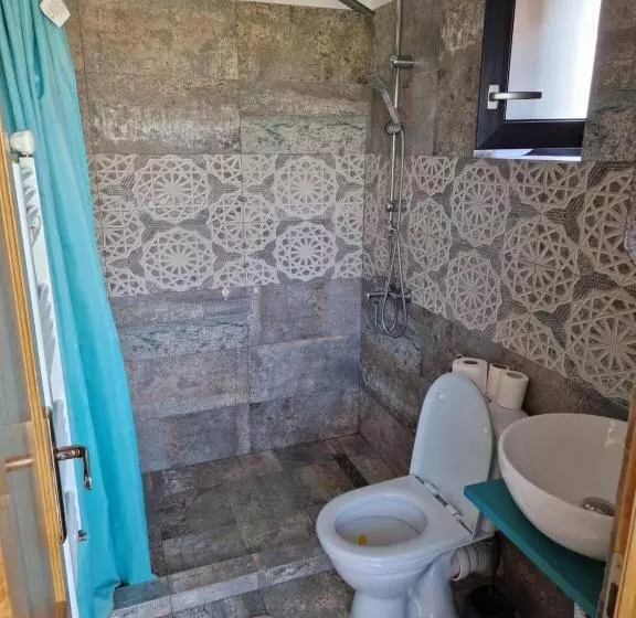 Pensió Casa țache