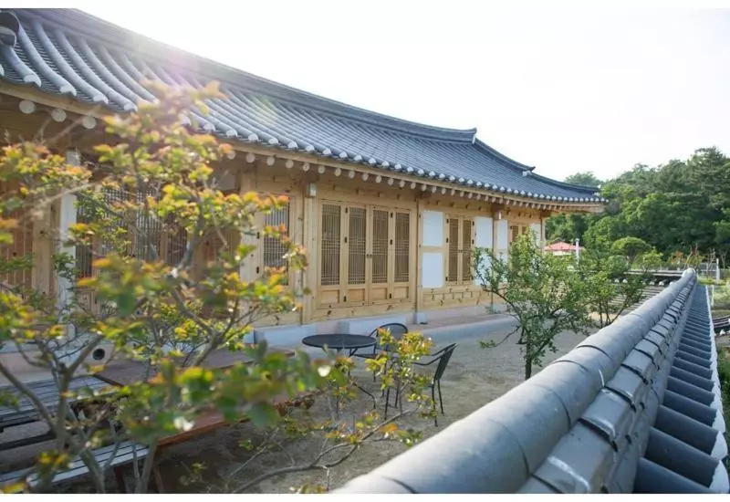 Daebudo Jongii Misulgwan Pension