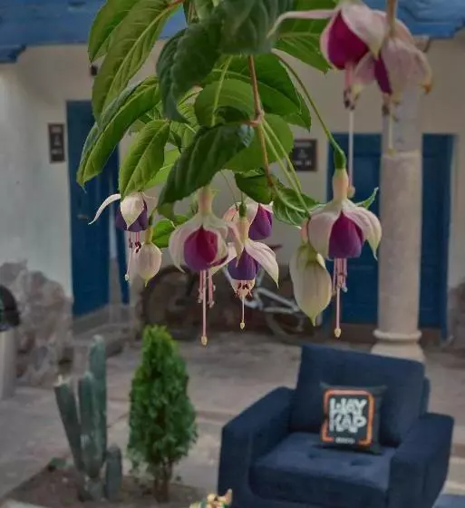 ホテル Way Kap Hostel Cusco
