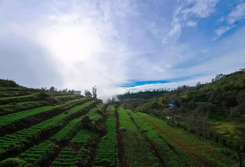 Starlight Hotels Kodai