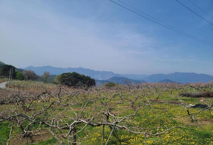 Yeongwol Taehwasan Village Experience Pension