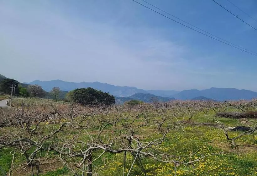 Yeongwol Taehwasan Village Experience Pension