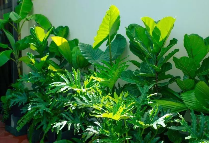 هتل Nha Trong Pho   Moon House