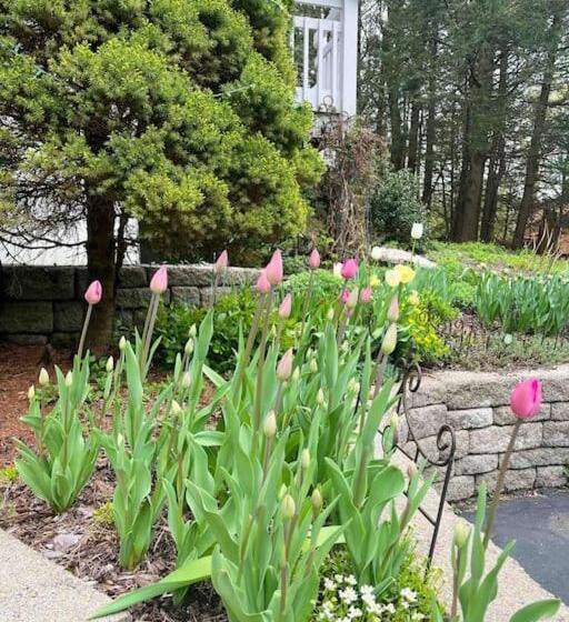 ベッドアンドブレックファースト Sunny Peace Homestay