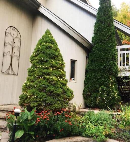 ベッドアンドブレックファースト Sunny Peace Homestay