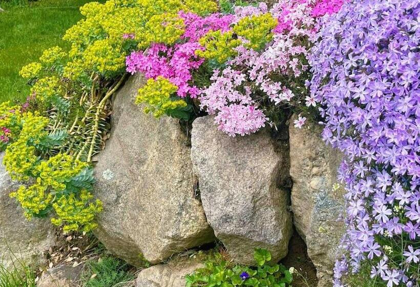 ベッドアンドブレックファースト Sunny Peace Homestay