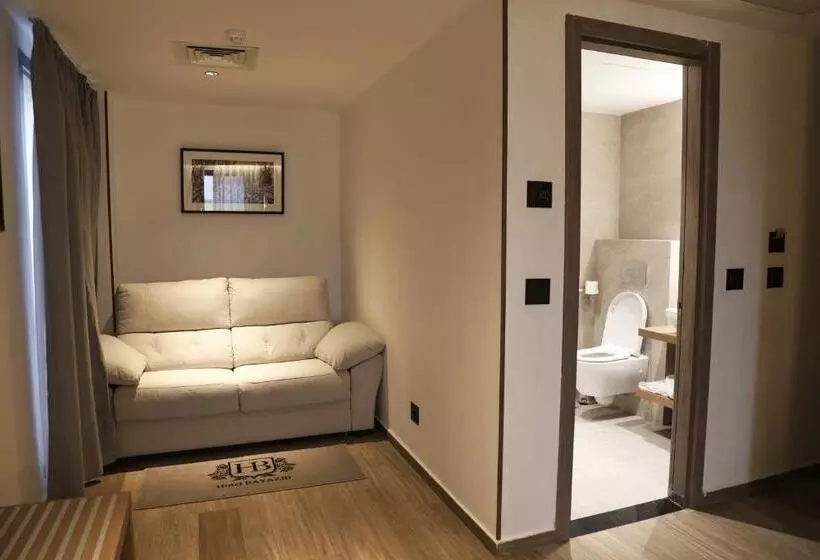 هتل Hôtel Bayazid