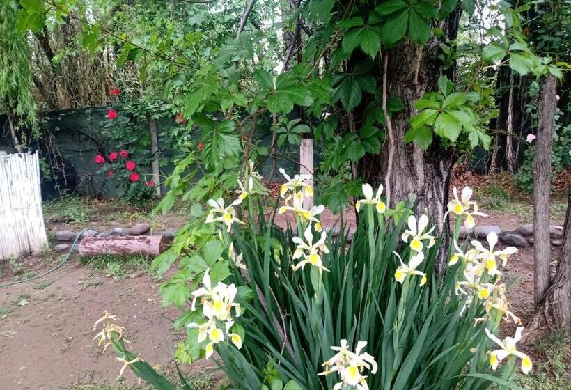 مبيت وإفطار Los Siete Chakras