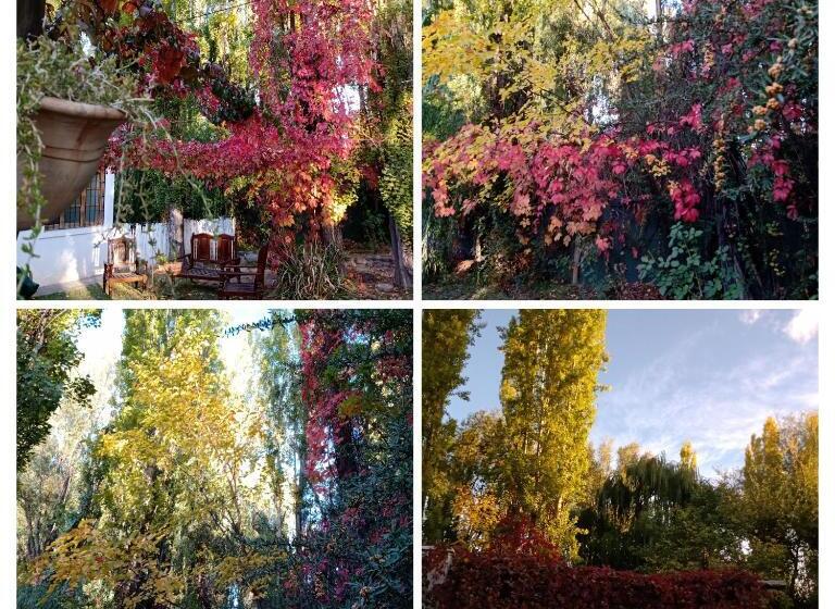 مبيت وإفطار Los Siete Chakras