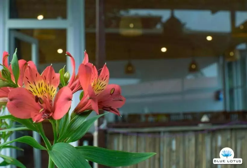Hotelli Blue Lotus Resort