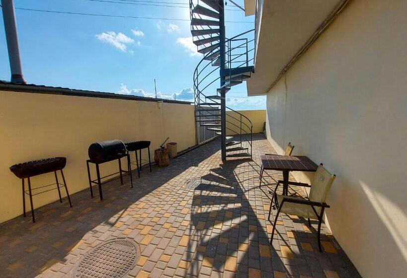 هاستل затока 501