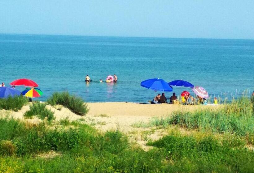 هاستل затока 501