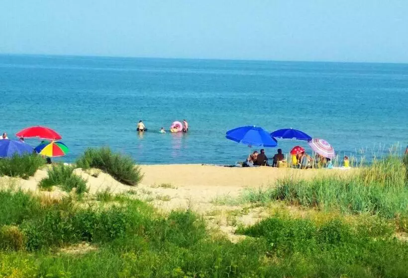 هاستل затока 501