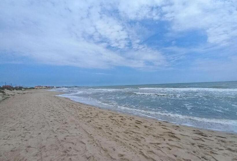 هاستل затока 501