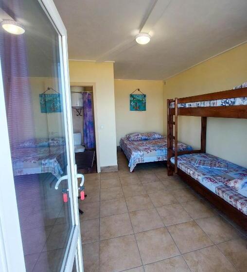 هاستل затока 501