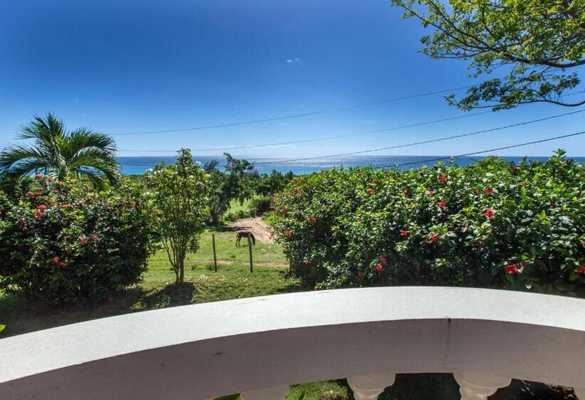 هتل Hacienda Tamarindo