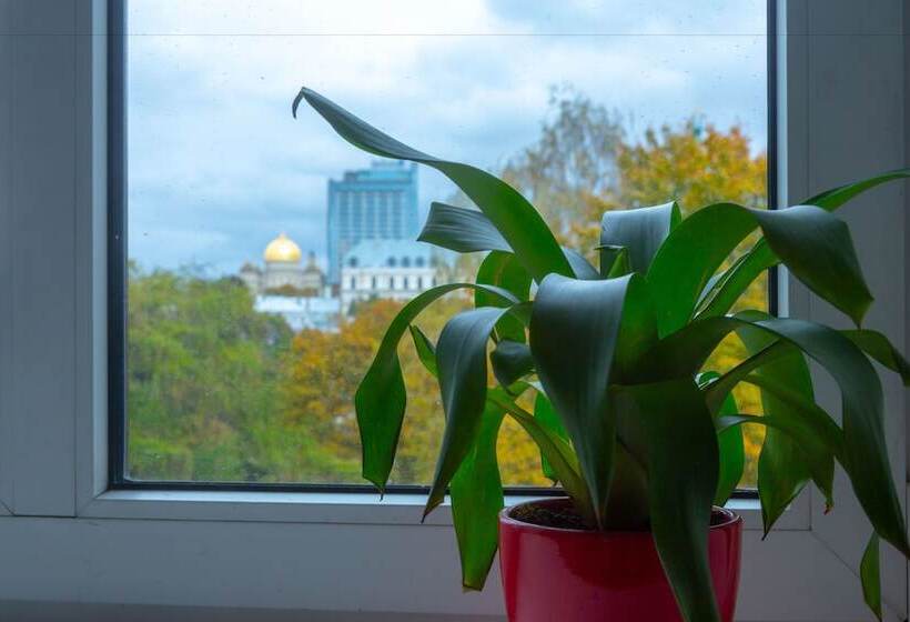 هاستل Liberty Airy