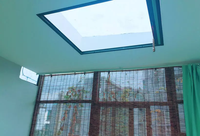 ユースホステル Living Art Museum Inn