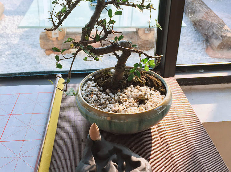 旅馆 Living Art Museum Inn