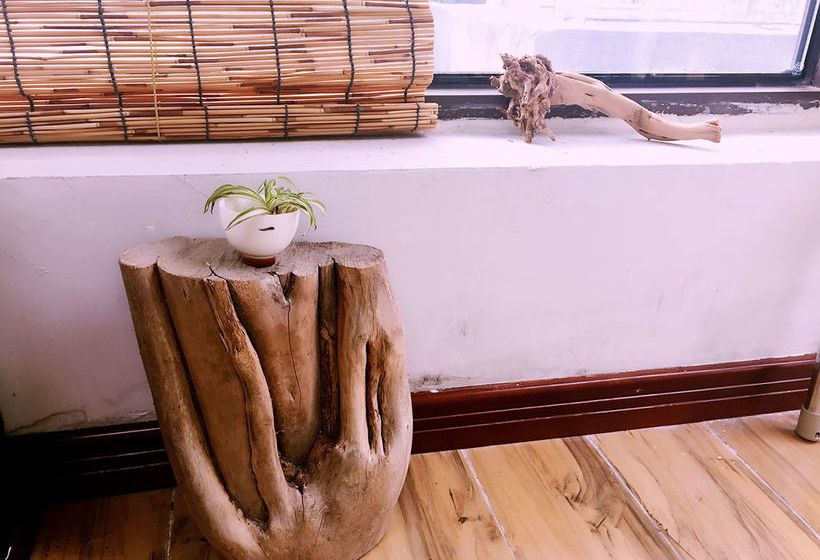 旅馆 Living Art Museum Inn