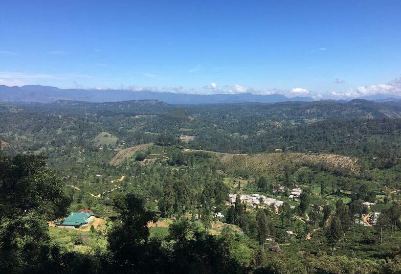 ベッドアンドブレックファースト The Train View