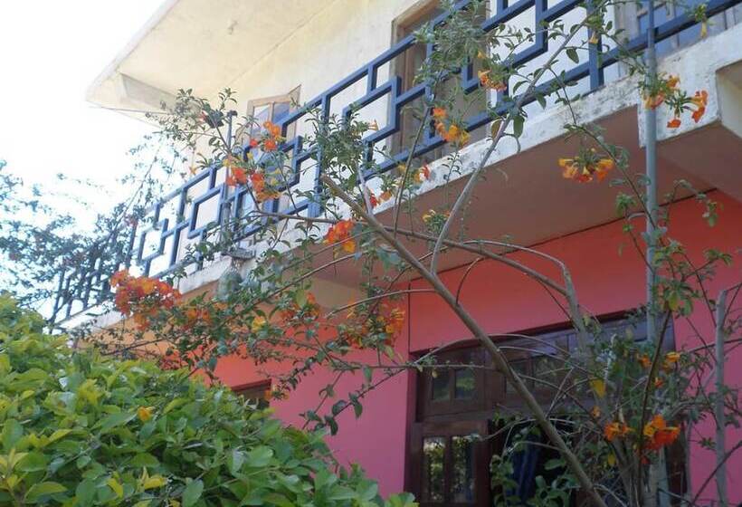 ベッドアンドブレックファースト The Train View