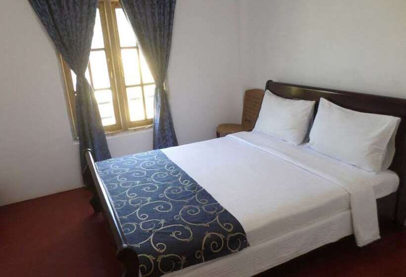 ベッドアンドブレックファースト The Train View