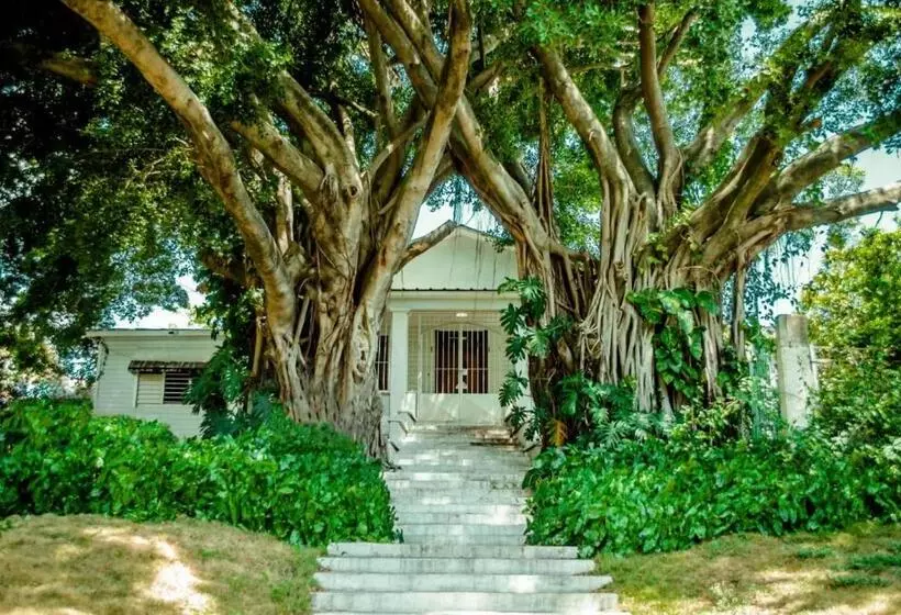 Villa Carolina Bed And Breakfast