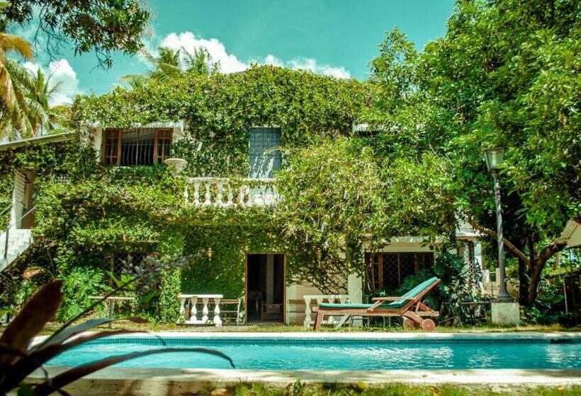 Villa Carolina Bed And Breakfast