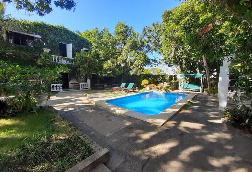 Villa Carolina Bed And Breakfast