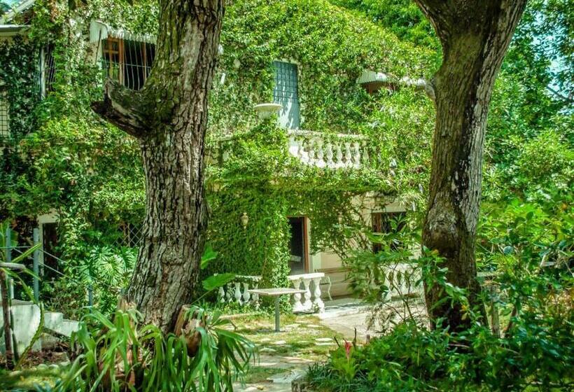 Villa Carolina Bed And Breakfast