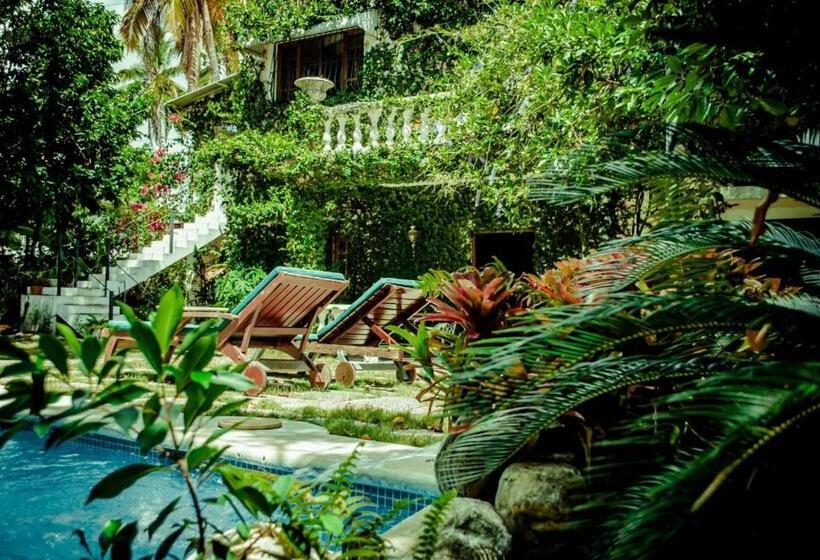 Villa Carolina Bed And Breakfast